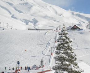 Hotels in Las Lenas
